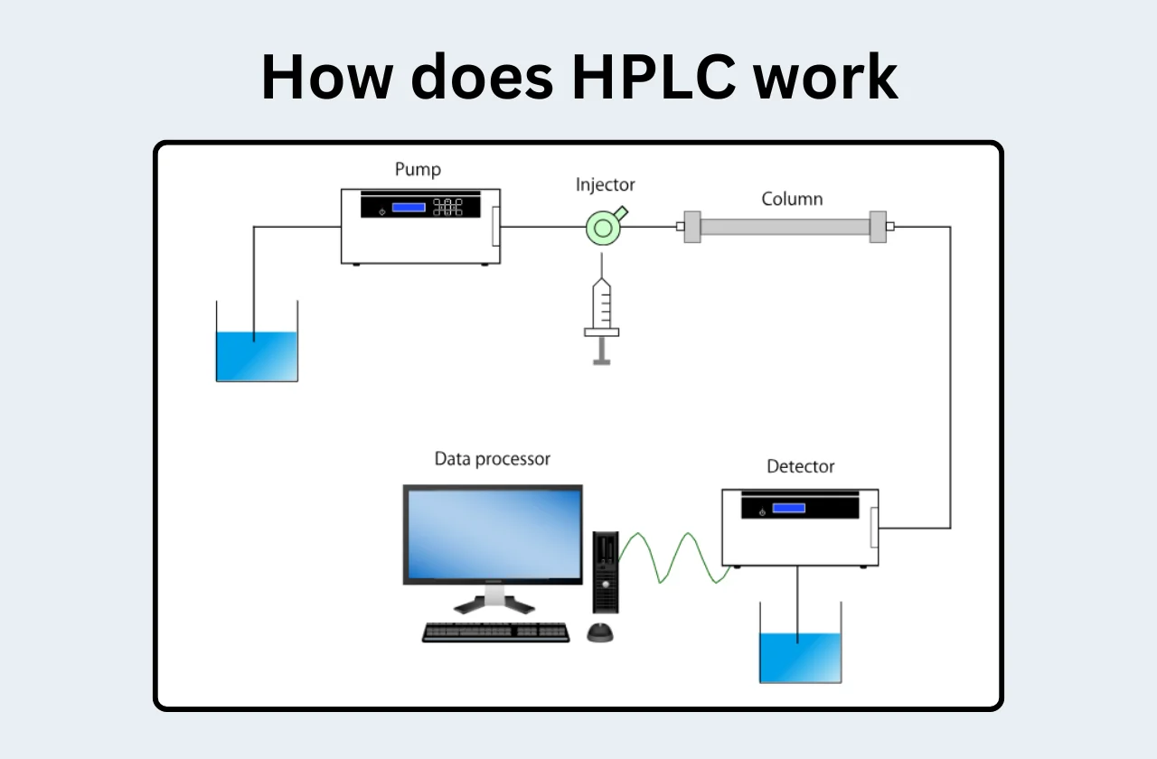 A diagram showing how does HPLC work