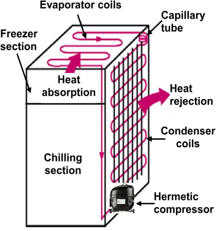 Freezer Components and their Functions